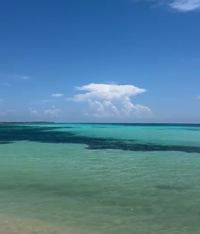 Recent photograph of Punta Sur