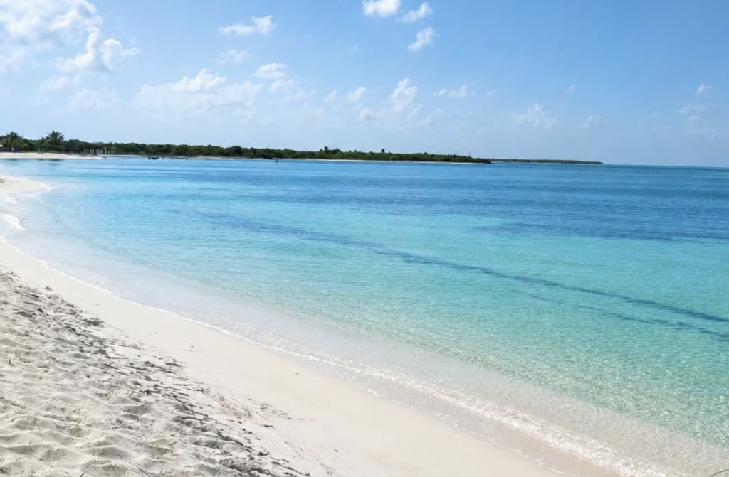 Recent photograph of Punta Sur