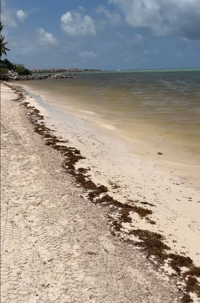 Recent photograph of Playa Juanillo