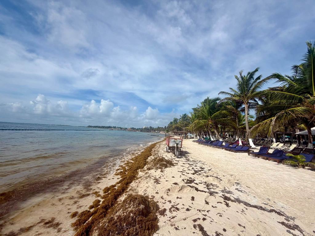 Recent photograph of Mahahual Costa Maya