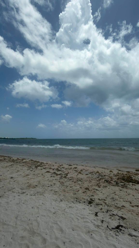 Recent photograph of Playa Palancar