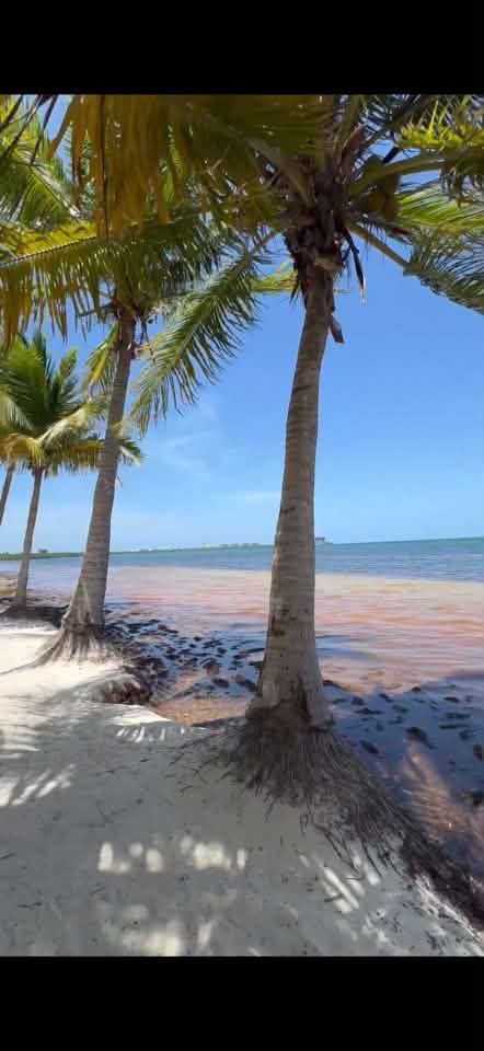 Recent photograph of Playa Coral