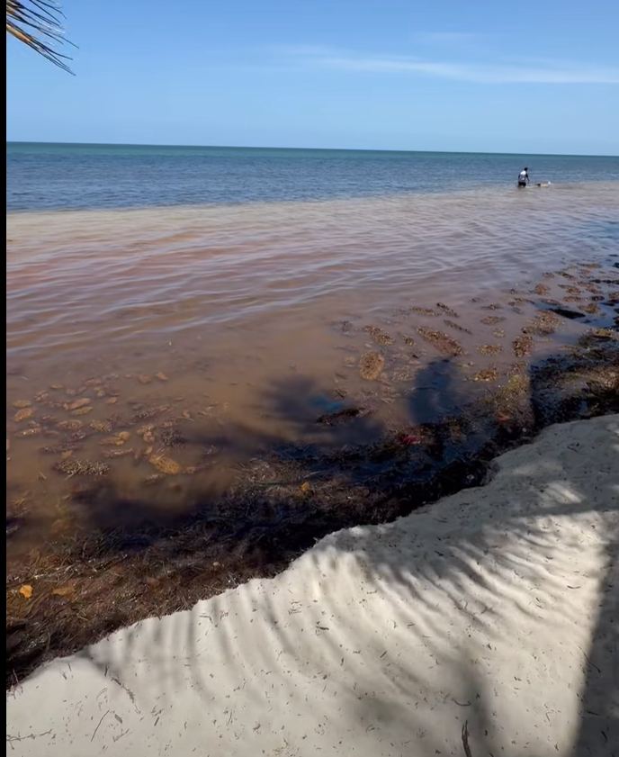 Recent photograph of Playa Coral