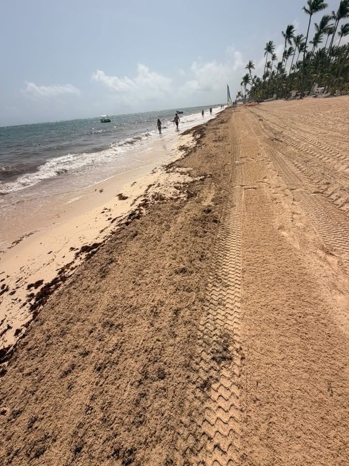 Recent photograph of Playa Macao