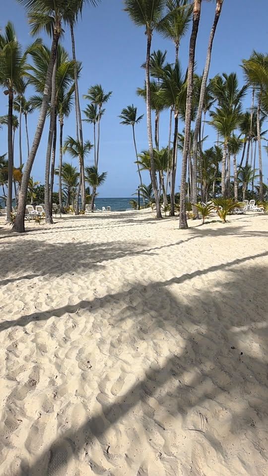 Recent photograph of Playa Macao